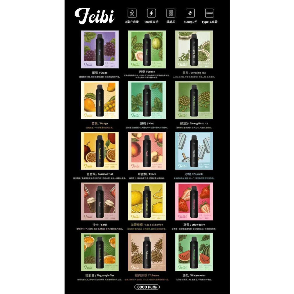 Feibi 菲比 8000口推薦：大口數、免換彈，囤貨首選現貨不用等